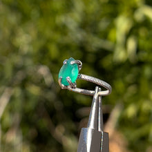 Load image into Gallery viewer, Seraphina Ivy Ring Sz. 7.5 𓆙