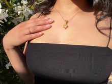 Load image into Gallery viewer, Sol Pendant ✵