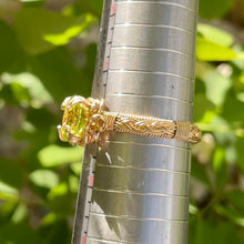 Load image into Gallery viewer, The Eternal Orna Ring 14K Yellow Gold✵