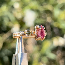 Load image into Gallery viewer, The Aurelia Ring✵