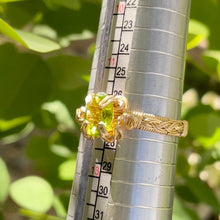 Load image into Gallery viewer, Orna Ring✵