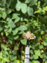 Load image into Gallery viewer, The Eternal Orna Arcus Ring✵