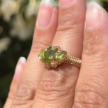 Load image into Gallery viewer, The Eternal Gorgon Ring 𓆙