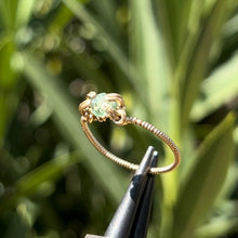 Load image into Gallery viewer, The Eternal Medusa Ring 𓆙