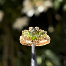 Load image into Gallery viewer, The Eternal Gorgon Ring 𓆙