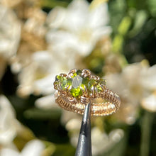 Load image into Gallery viewer, The Eternal Gorgon Ring 𓆙