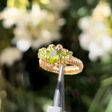 Load image into Gallery viewer, The Eternal Gorgon Ring 𓆙