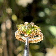 Load image into Gallery viewer, The Eternal Gorgon Ring 𓆙