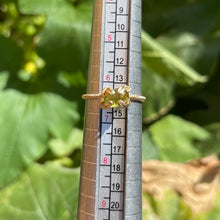 Load image into Gallery viewer, Evermore Ring✵