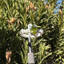 Load image into Gallery viewer, The Asteria Ring✵