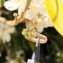 Load image into Gallery viewer, The Eternal Gorgon Ring 𓆙