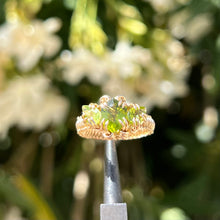 Load image into Gallery viewer, The Eternal Gorgon Ring 𓆙