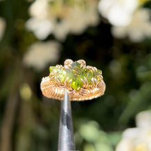 Load image into Gallery viewer, The Eternal Gorgon Ring 𓆙