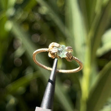 Load image into Gallery viewer, The Eternal Medusa Ring 𓆙