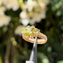 Load image into Gallery viewer, The Eternal Gorgon Ring 𓆙