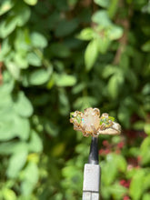 Load image into Gallery viewer, The Eternal Orna Arcus Ring✵