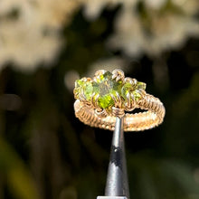 Load image into Gallery viewer, The Eternal Gorgon Ring 𓆙