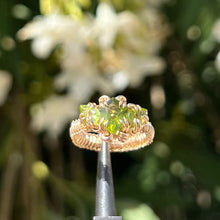 Load image into Gallery viewer, The Eternal Gorgon Ring 𓆙