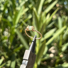 Load image into Gallery viewer, The Eternal Medusa Ring 𓆙