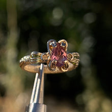 Load image into Gallery viewer, The Aurelia Ring ✵
