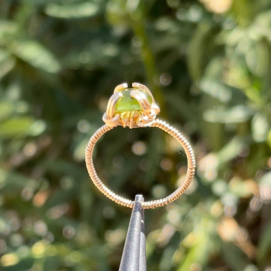 Evermore Ring✵